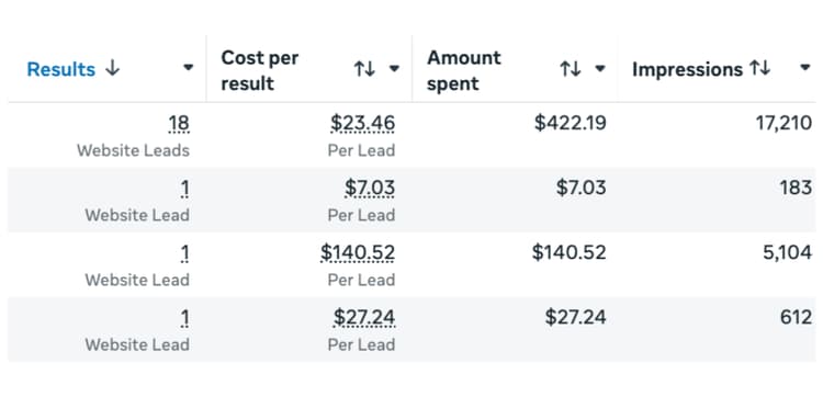Meta ads results